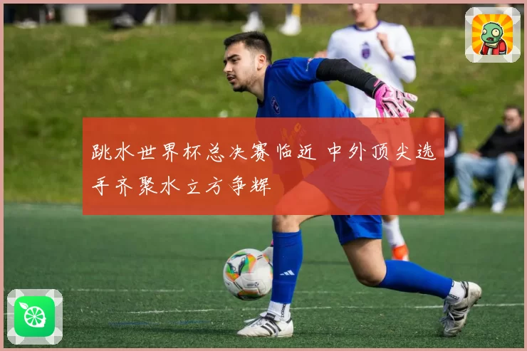 跳水世界杯总决赛临近 中外顶尖选手齐聚水立方争辉
