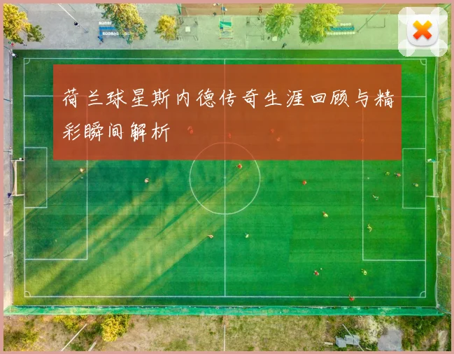 荷兰球星斯内德传奇生涯回顾与精彩瞬间解析
